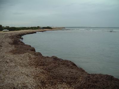 DSCF0032.JPG